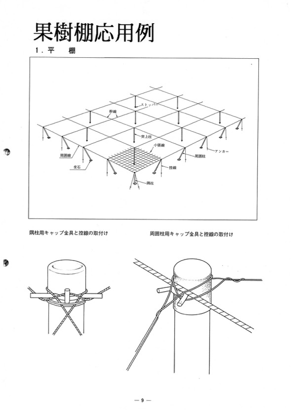 果樹棚応用例